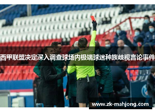 西甲联盟决定深入调查球场内极端球迷种族歧视言论事件